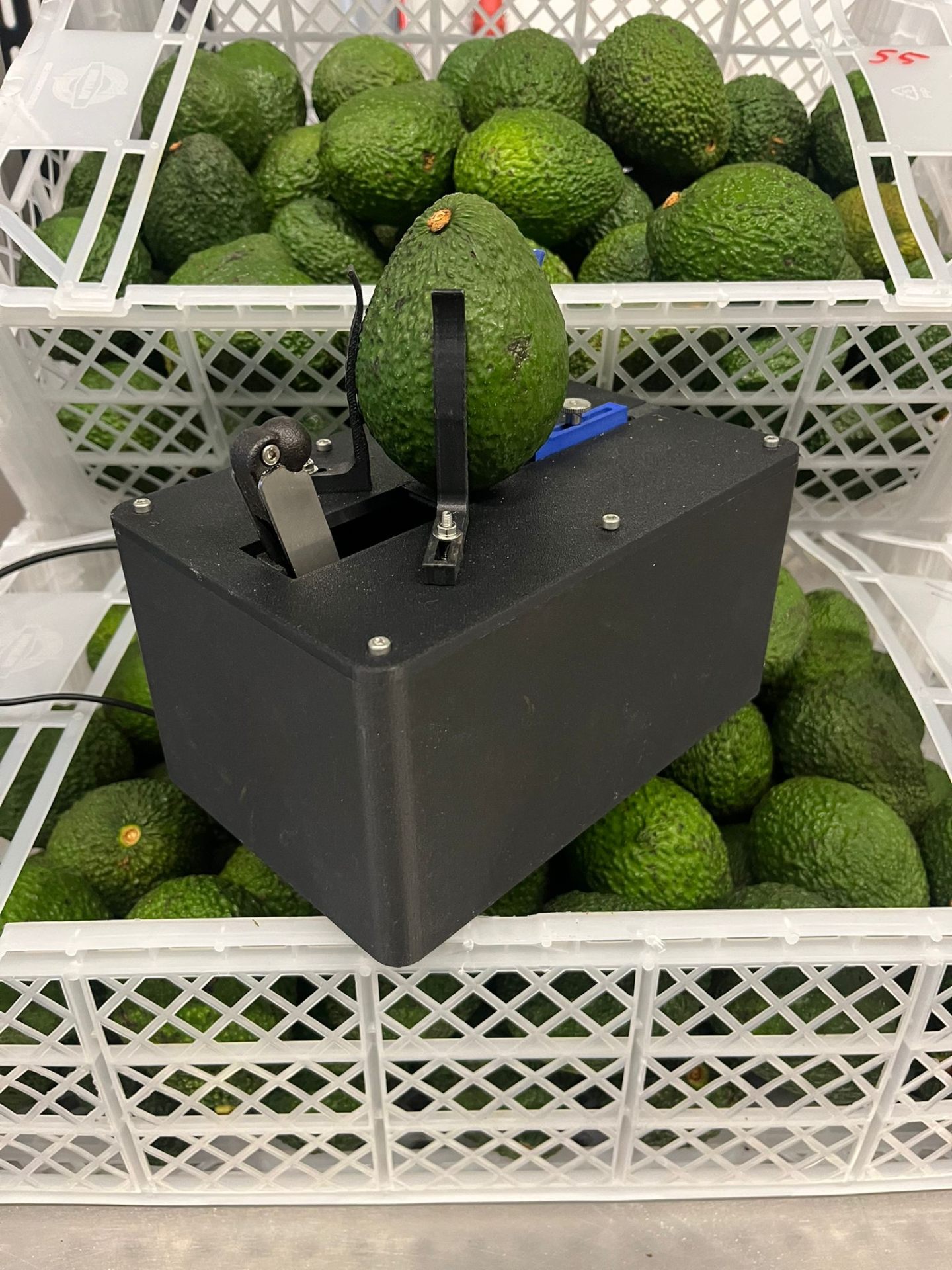 RipeWise | Experience Fruit Quality